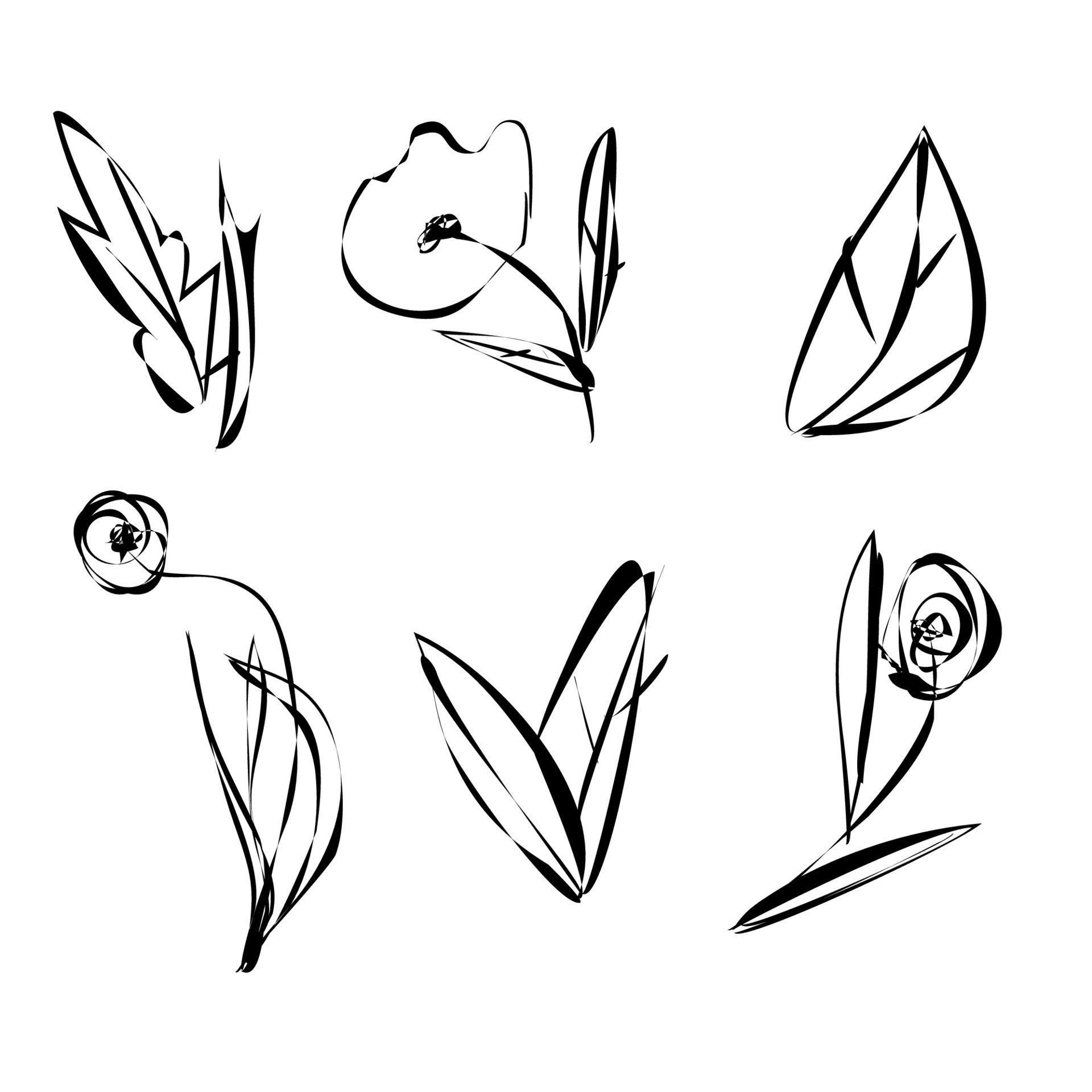 Satz von Skizzenblumen, Blättern und Pflanzen mit schwarzen Umrissen isoliert auf weißem Hintergrund. handbemalte Blumen. vektor