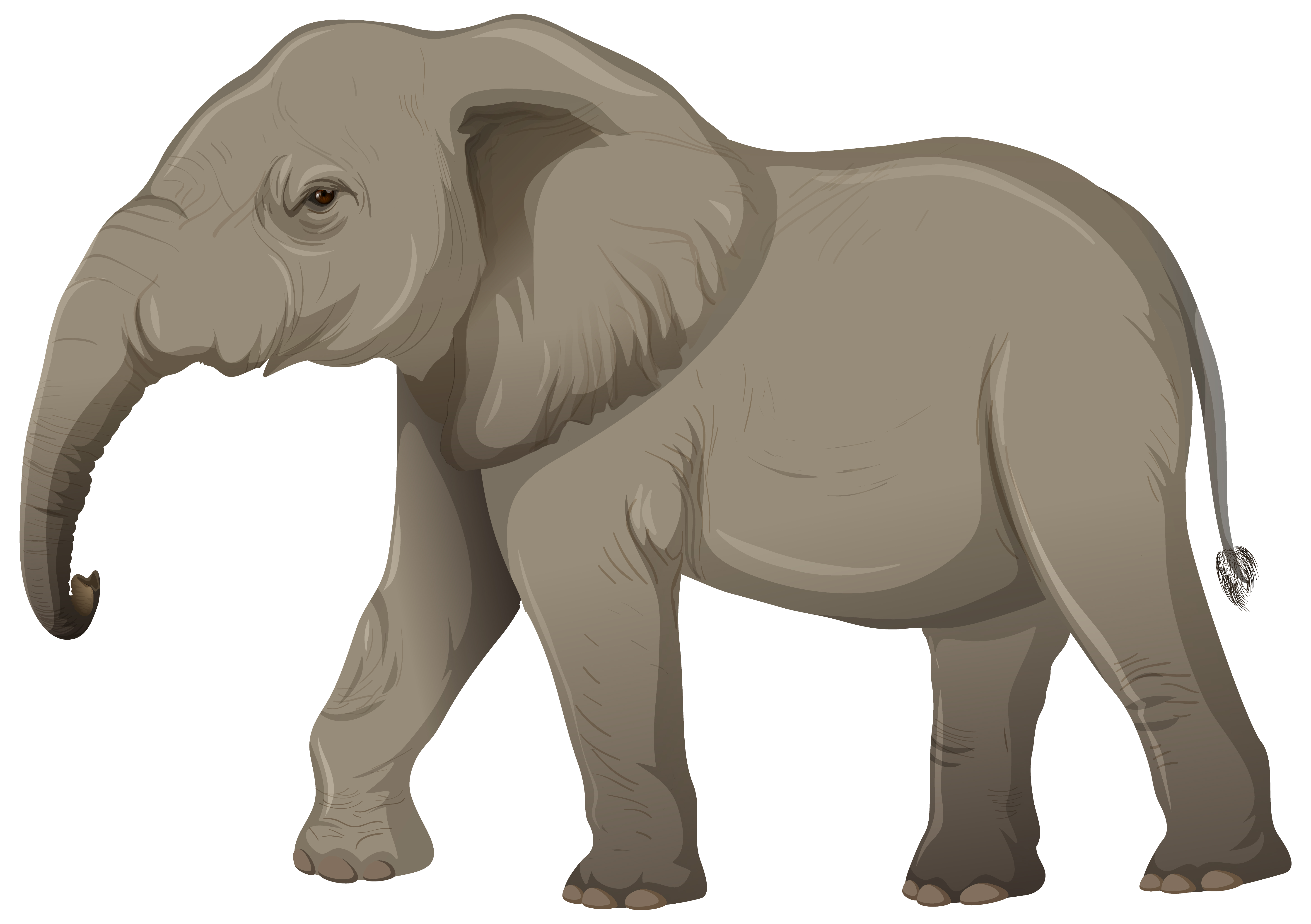 Erwachsener Elefant Ohne Elfenbein Im Karikaturstil Auf Weissem Hintergrund Download Kostenlos Vector Clipart Graphics Vektorgrafiken Und Design Vorlagen