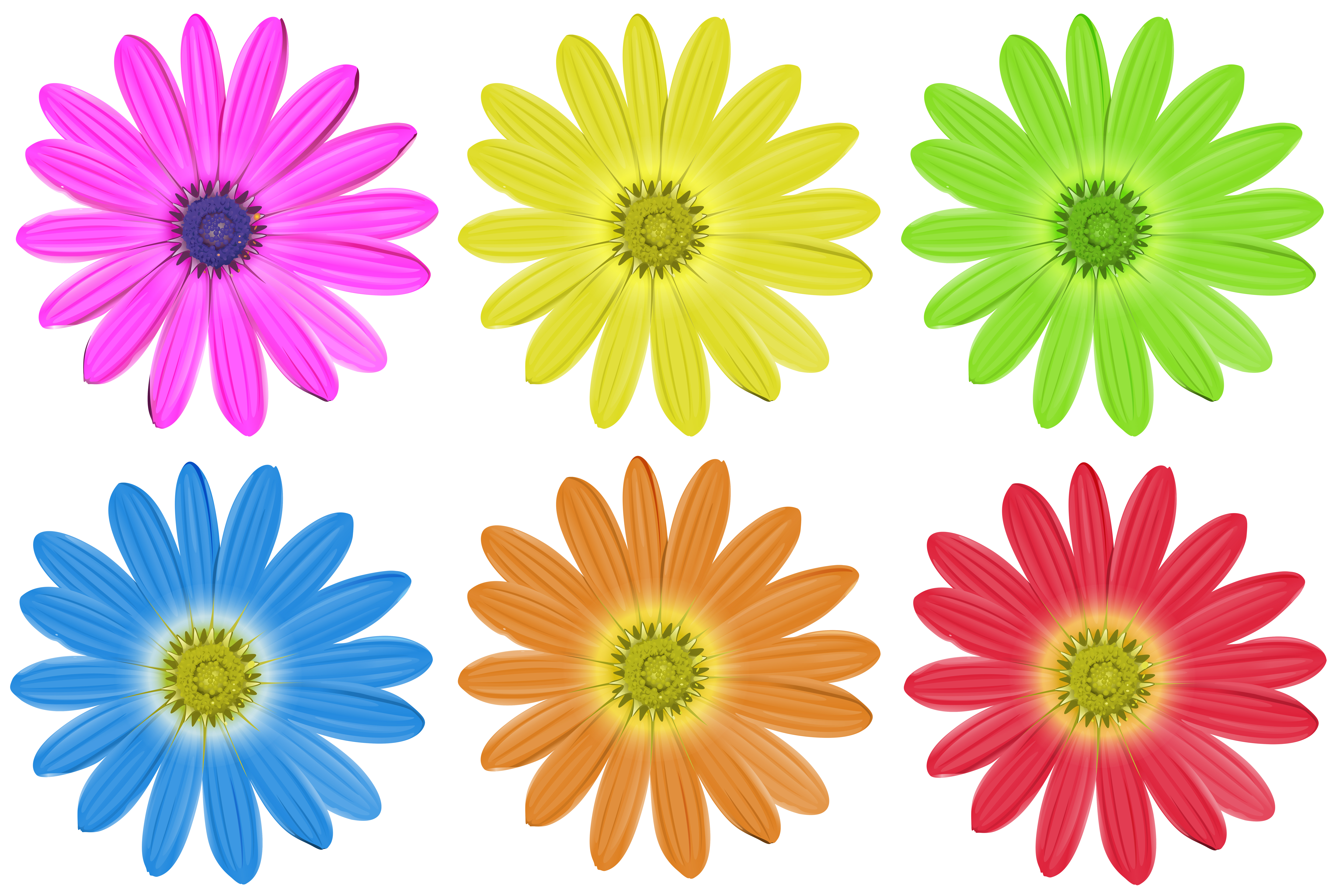 frische bunte Blumen in Vasen gesteckt 14509773 Stock-Photo bei Vecteezy