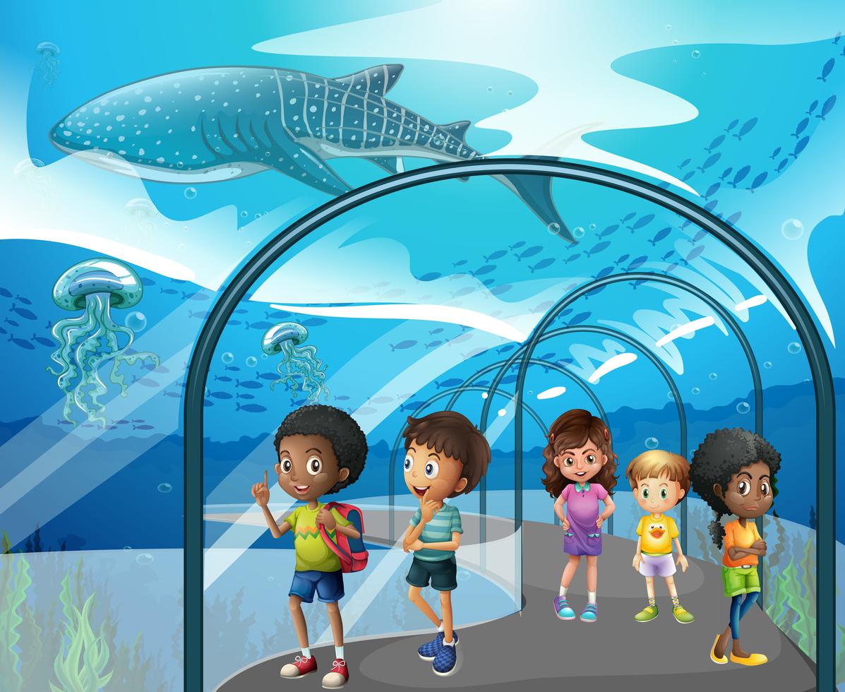 Kinder Die Fische Im Aquarium Betrachten Download Kostenlos Vector Clipart Graphics Vektorgrafiken Und Design Vorlagen