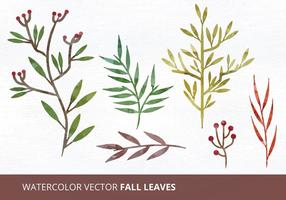 Aquarell Vektor Blätter