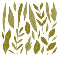 uppsättning av olika gröna löv och kvistar av olika former. vektor illustration i handritad platt stil. perfekt för kort, logotyp, dekorationer, vår- och sommardesigner. botaniska clipart.