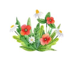 akvarell bukett med tusensköna, vallmo och löv vackra vilda blommor vektor