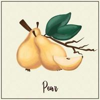 fruktkort. päron. ritade gula päron. vektor illustration. gård trädgårdsskötsel exotiska frukter