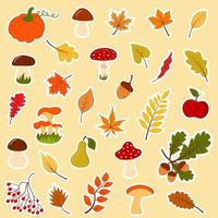 großer Herbstwald Satz Aufkleber. Sammlung von Laub, Pilzen, Eicheln, Beeren, Zweigen, Obst und Gemüse. vektor
