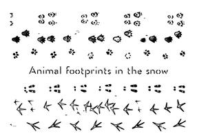 Gratis Animal Footprints Vector Bakgrund
