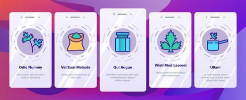 Koriander-Kräuterpflanzen-Onboarding-Symbole setzen Vektor