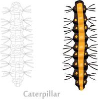 Insektenskizze zur Vektorgrafik vektor