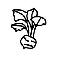 Kohlrabi Kohl Symbol Leitung Vektor Illustration