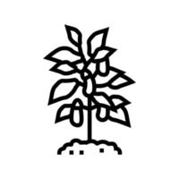 Pflanze Auberginen Symbol Leitung Vektor Illustration