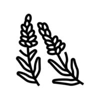 Lavendel Kraut Symbol Leitung Vektor Illustration