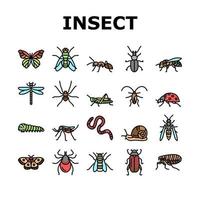 Insekten-, Spinnen- und Insektensymbole setzen Vektor