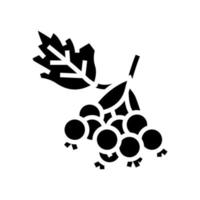 Weißdorn Beere Glyphe Symbol Vektor Illustration