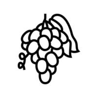Traubensaft Beerenlinie Symbol Vektor Illustration