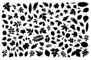 Herbstblatt-Set. Schwarz-Weiß-Kontur-Silhouette-Baum lässt Elementsammlung vektor