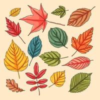 Herbstblatt-Set. farbige Baumblätter vektor