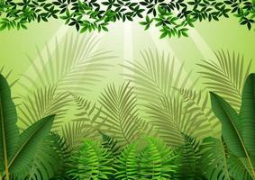 tropisk skog bakgrund vektor