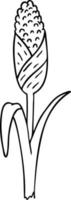 Strichzeichnung Doodle von frischen Maiskolben vektor