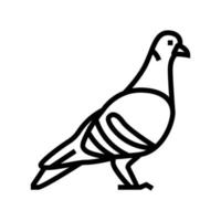 Taube Vogel Symbol Leitung Vektor Illustration