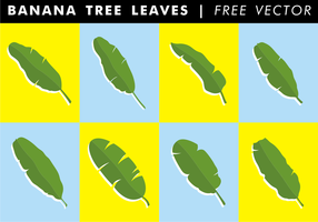 Bananenbaum verlässt freien Vektor