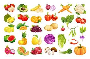 uppsättning färsk frukt och grönsaker vektorillustration vektor