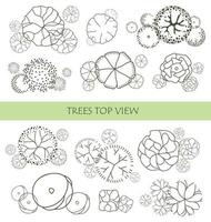träd för arkitektoniska planritningar. entourage design. olika träd, buskar och buskar, ovanifrån för landskapsdesignplanen. vektor