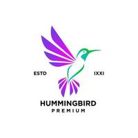 hummingbird färg full logotyp ikon design vektor