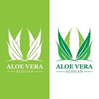 Grüne Pflanze Aloe Vera Logo Vektorsymbol Symbol viele Vorteile vektor