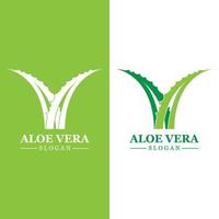 grön växt aloe vera logotyp vektor ikon symbol många fördelar