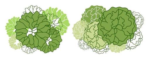 träd för arkitektoniska planritningar. entourage design. olika träd, buskar och buskar, ovanifrån för landskapsdesignplanen. vektor