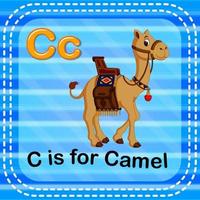 flashcard bokstaven c är för kamel vektor