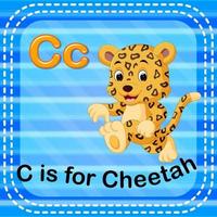 flashcard bokstav c är för cheetah vektor