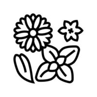 Blumen Phytotherapie Symbol Leitung Vektor Illustration