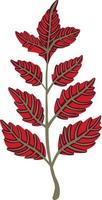blad växt träd färgglada ritning illustration symbol vektor