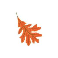 natur blatt pflanze illustration vektor