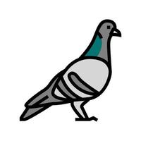 Taube Vogel Farbe Symbol Vektor Illustration