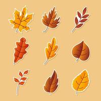 Satz von Herbst-Blumen-Sticker-Pack vektor