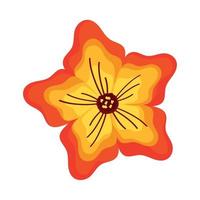 orange blomma trädgård dekoration vektor
