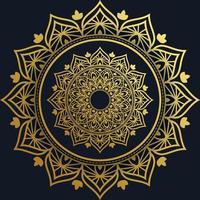 Luxuriöser dekorativer Mandala-Designhintergrund in Goldfarbe. vektor