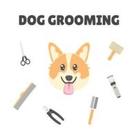 hund grooming affisch på vit bakgrund med corgi och grooming utrustning. Husdjursvård. vektor