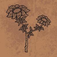 botaniska blad doodle vildblomma linjekonst. handritad vektorillustration. vintage blommig kontur. lämplig för tapeter, affisch, klistermärke, innehåll sociala medier vektor