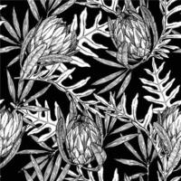Nahtloses schwarz-weißes grafisches Muster mit tropischen Blumen und Blättern. Protea-Blumen und Palmblätter auf schwarzem Hintergrund. Strichzeichnung mit Schraffur vektor
