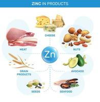 zinkinnehållande livsmedelsflödesschema vektor