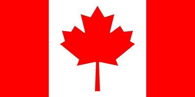 Kanadas flagga. nationella kanadensiska flaggan. nationalflagga med rött lönnlöv. vektor