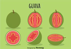 Guava vektor