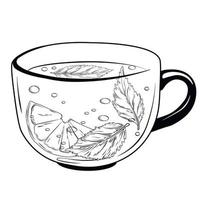 eine Tasse Kräutertee. Vektorvorratillustration. Heißgetränk mit Zitrone und Oreganoblättern. getrennt auf einem weißen Hintergrund. Grüner Tee-Logo. vektor