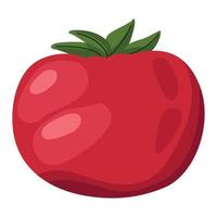 färsk tomatgrönsak vektor
