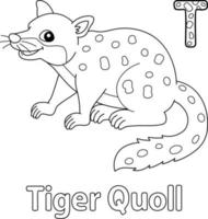 tiger quoll alfabetet abc målarbok t vektor