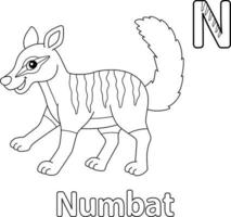 numbat alfabet abc målarbok n vektor