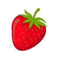jordgubbsfrukt, vektorgrafisk illustration, med färggradering och skuggning, lämplig för stormarknader, vegetarianer, kaféer, variationer i mjölksmaker, affischer, förpackningar, tryck och andra vektor